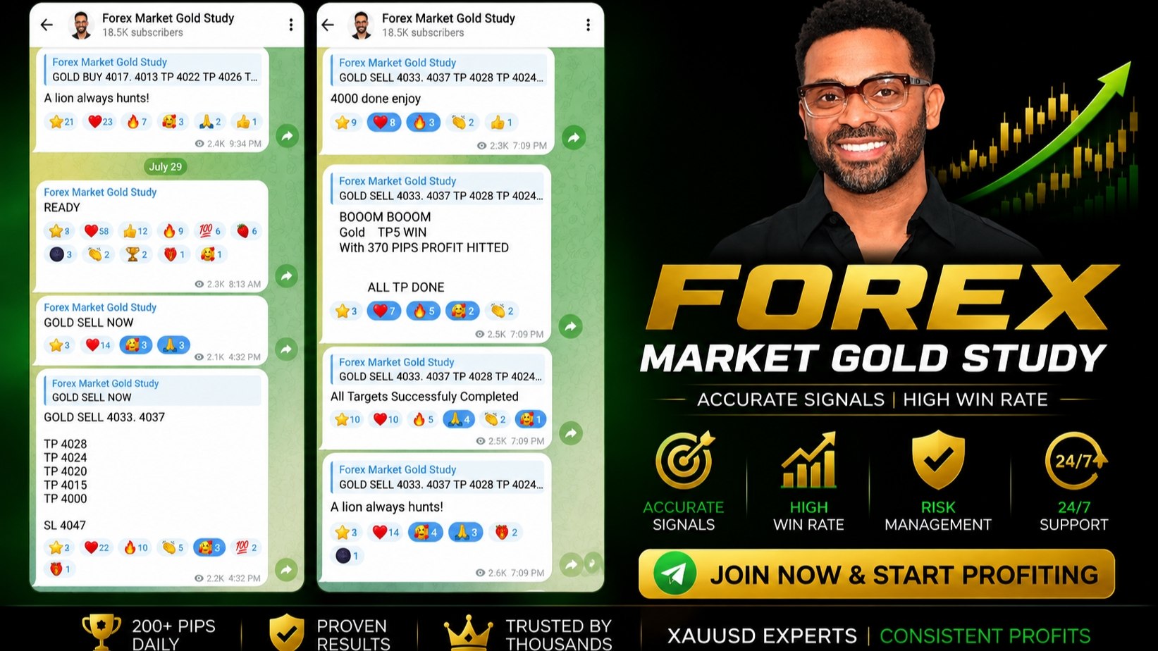 Forex Market Gold Study