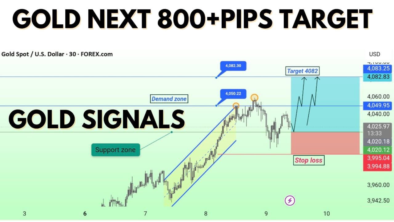 GOLD SIGNAL FX