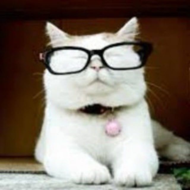 @thecatturdchannell