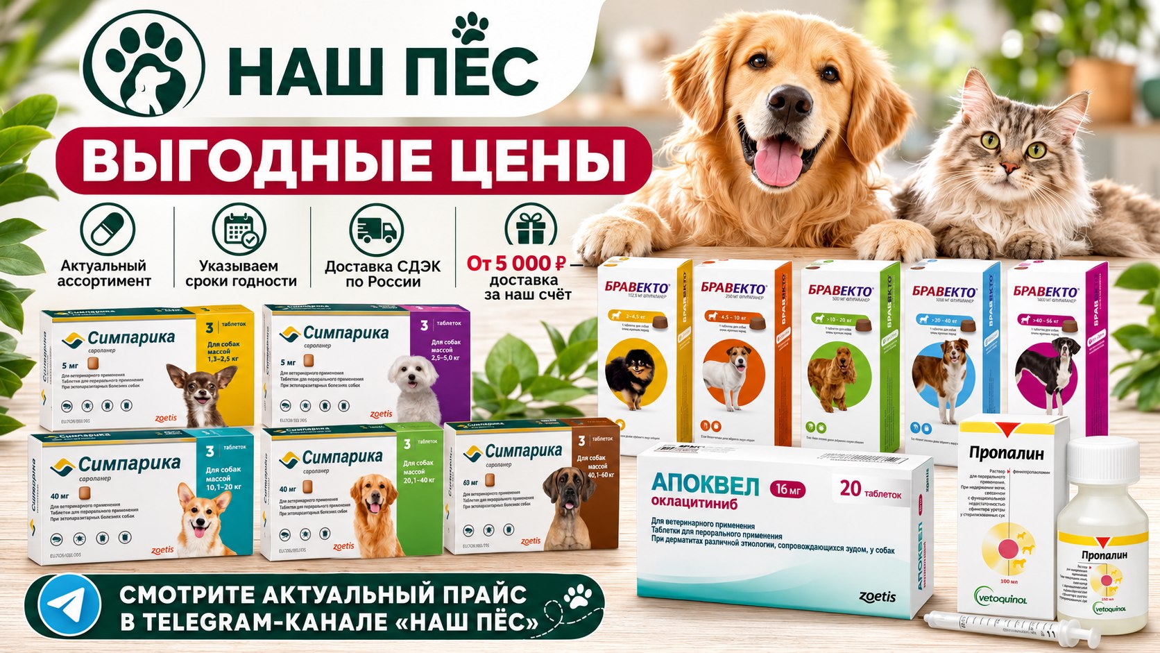 Зоомагазин Наш Пёс