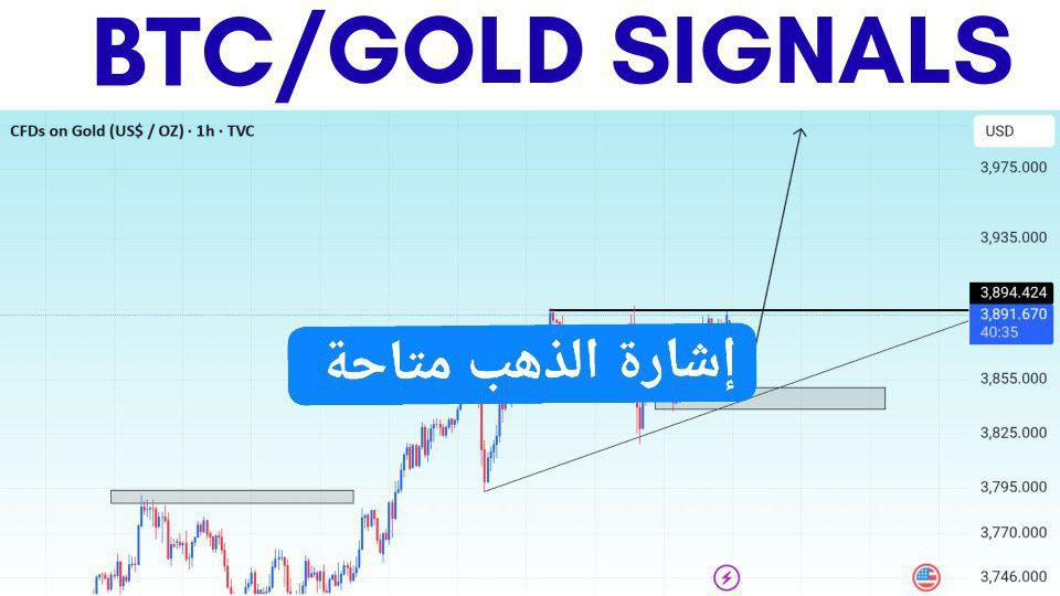 FOREX GOLD TEAM📚