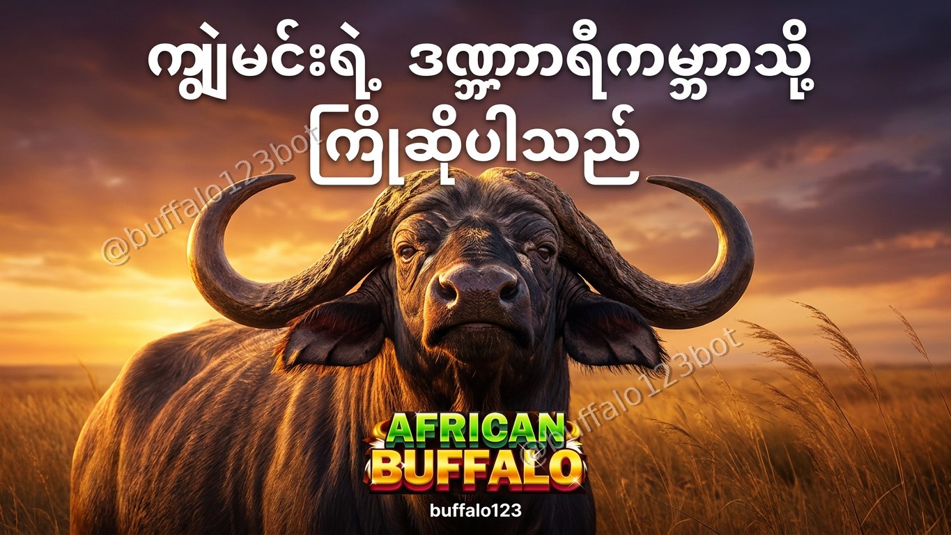 ကျွဲဂိမ်း Buffalo123 Official