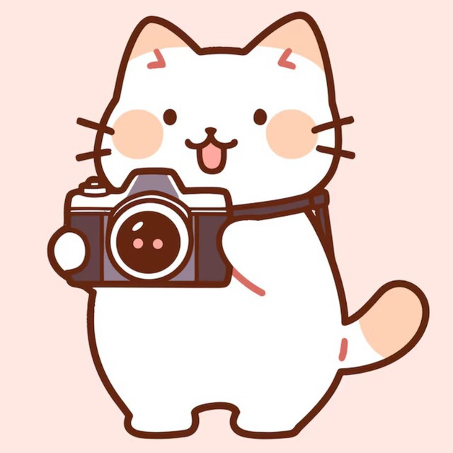 @photovisa_bot