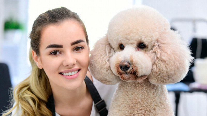 О2Pets Family