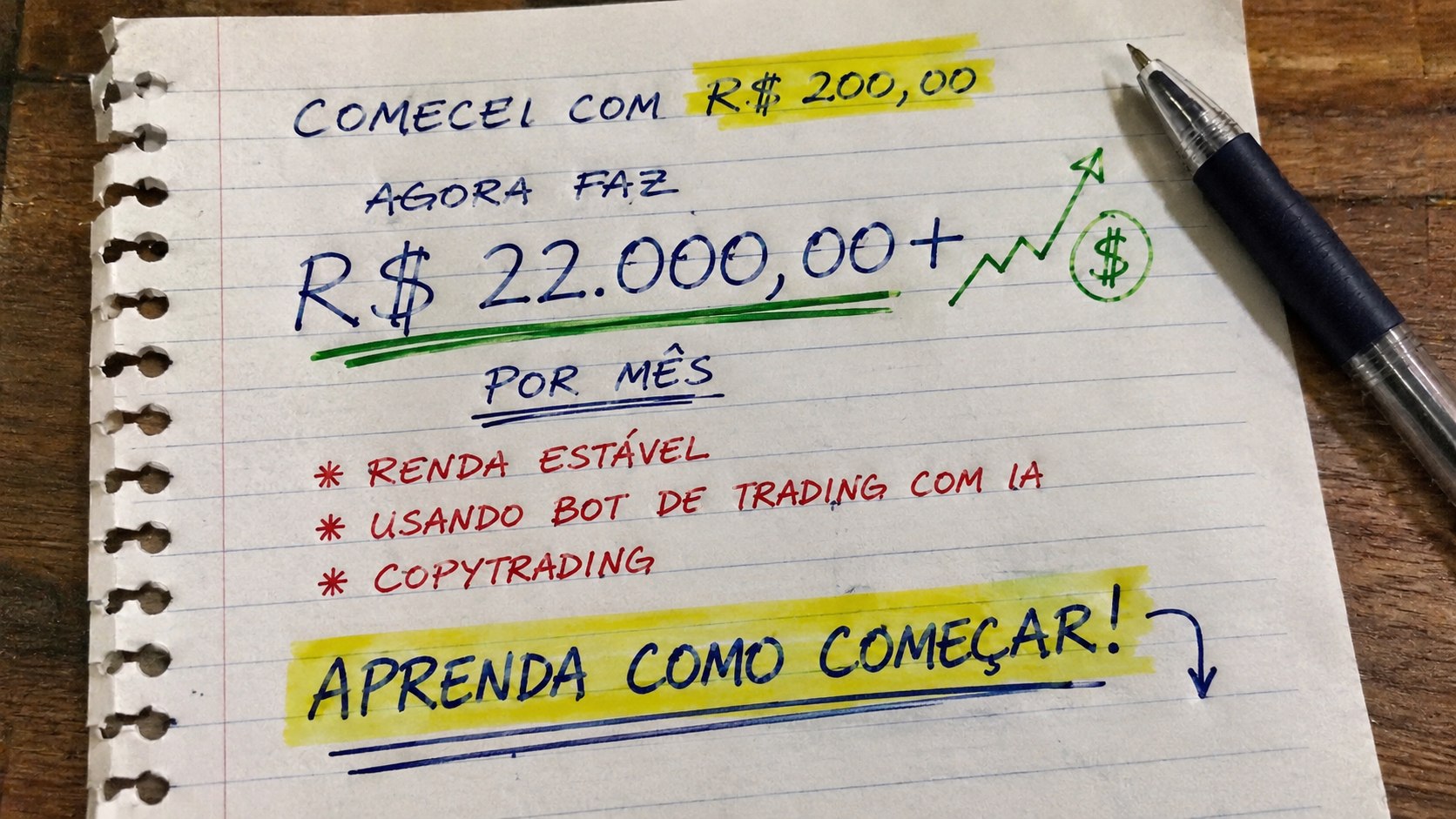 Bear Sinais ao vivo