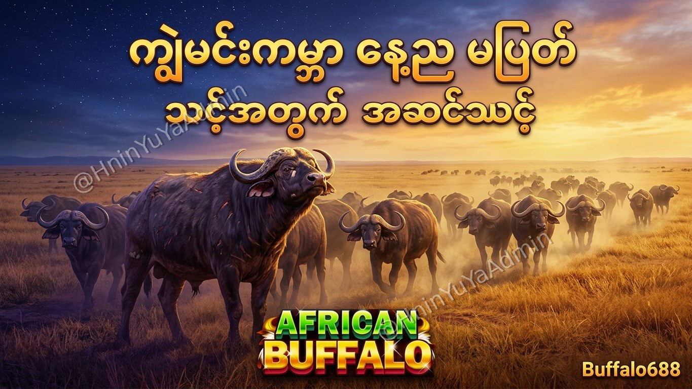 ကျွဲဂိမ်းအစစ် Buffalo688 ၊ကျွဲဘုရင် ၊ရှမ်းကိုးမီး၊ဘူကြီး