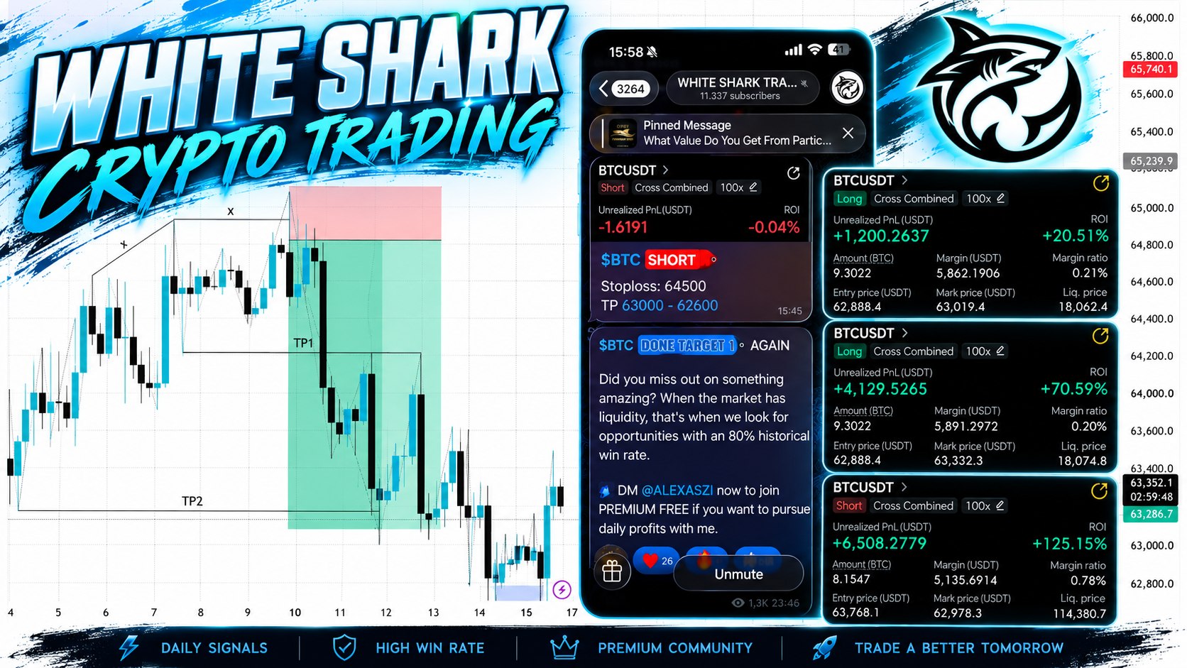 WHITE SHARK TRADING 🦈