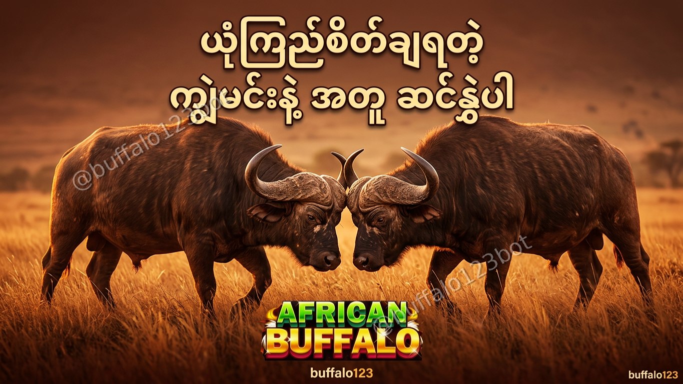ကျွဲဂိမ်း Buffalo123 Official