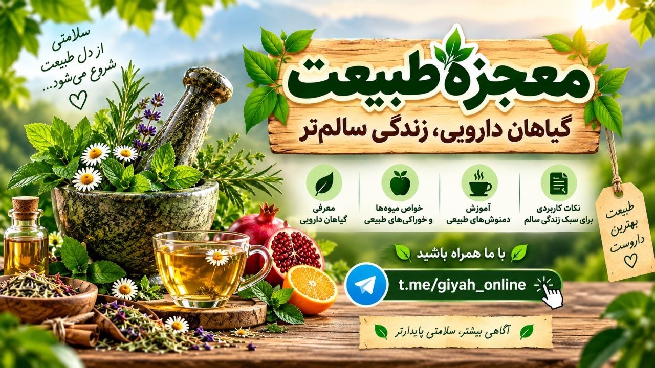 🔮معجزه گیاهان🍃 نیوشانیک