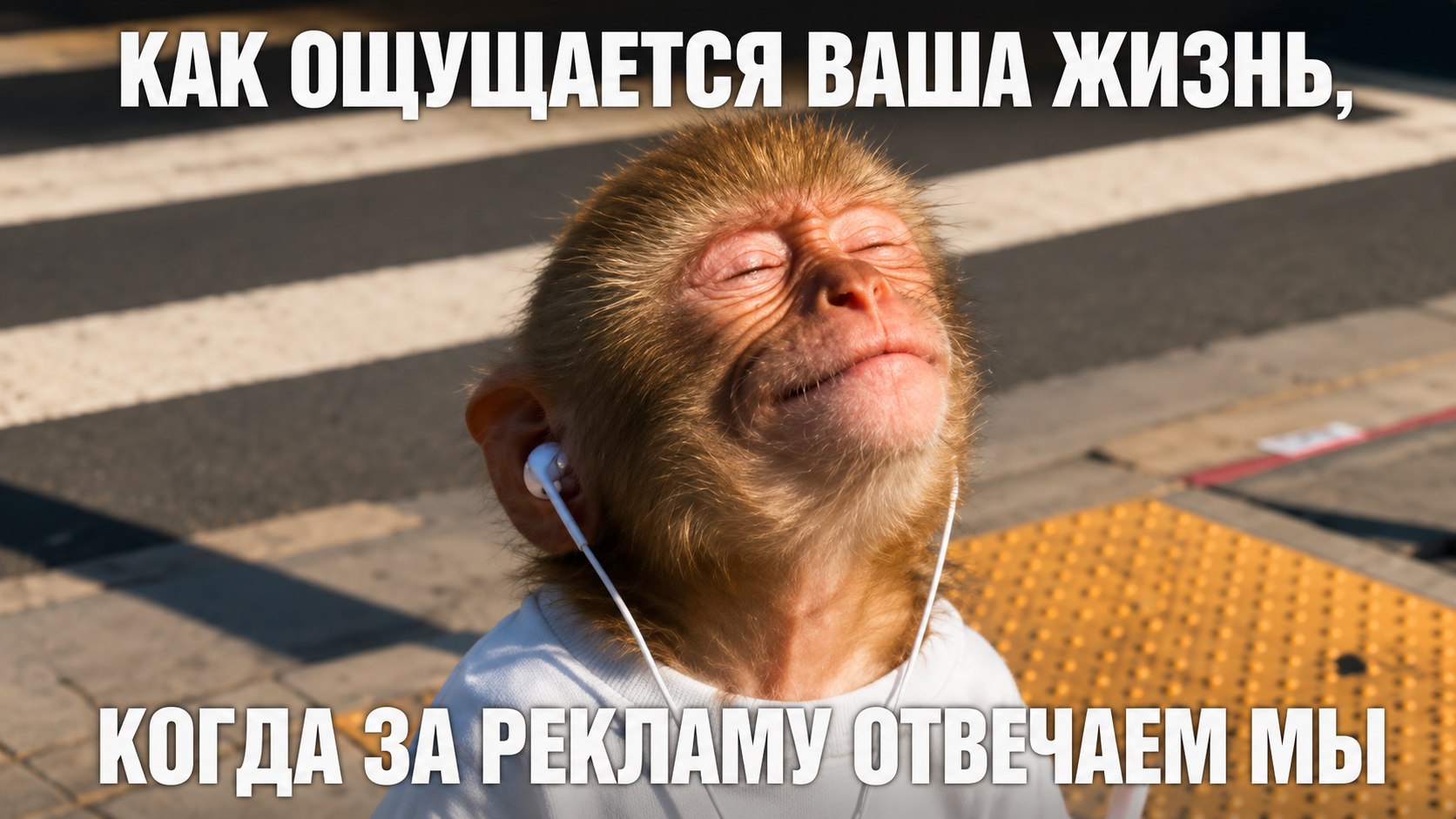Настроим рекламу за вас