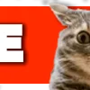 😼