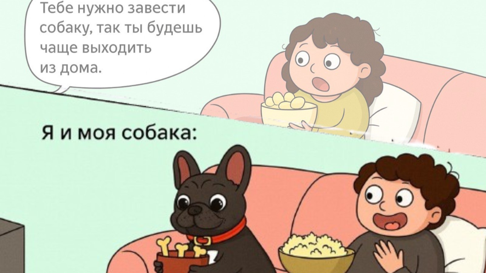 Ветеринарные центры Dr.Hug
