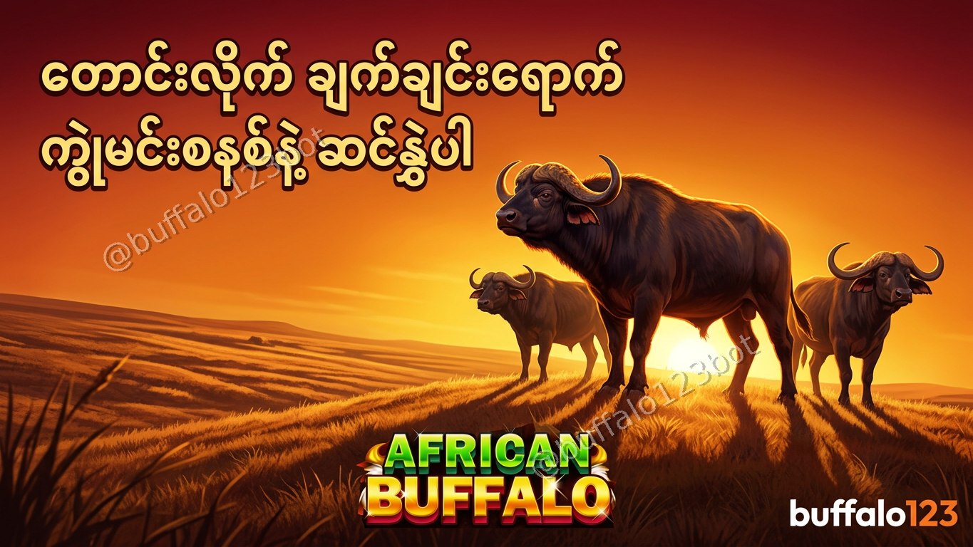 ကျွဲဂိမ်း Buffalo123 Official
